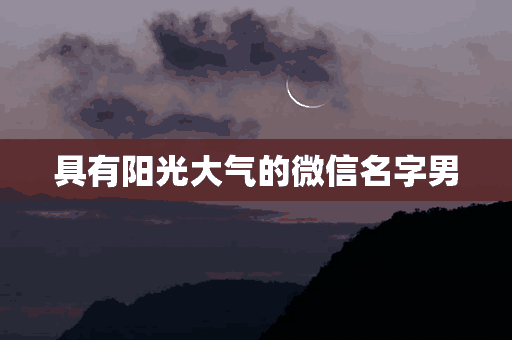 具有阳光大气的微信名字男(具有阳光大气的微信名字男生)